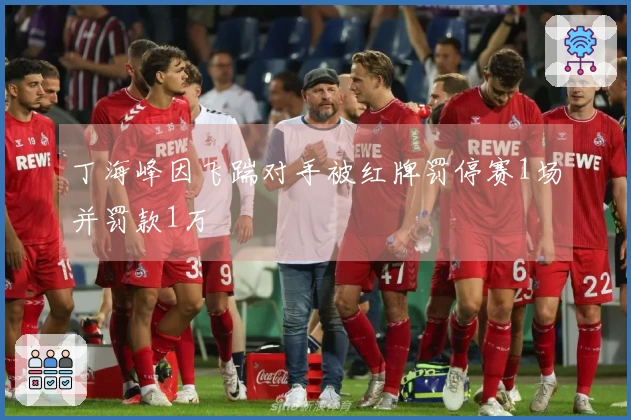 丁海峰因飞踹对手被红牌罚停赛1场并罚款1万