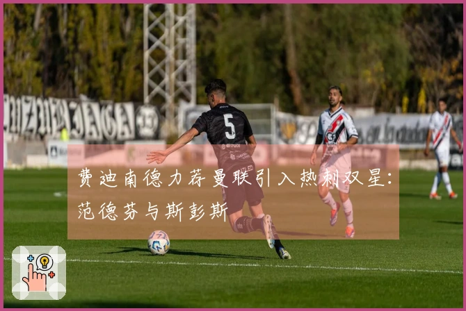 费迪南德力荐曼联引入热刺双星：范德芬与斯彭斯
