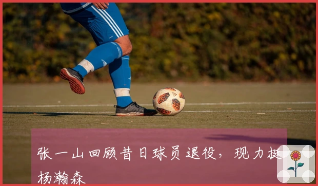 张一山回顾昔日球员退役，现力挺杨瀚森