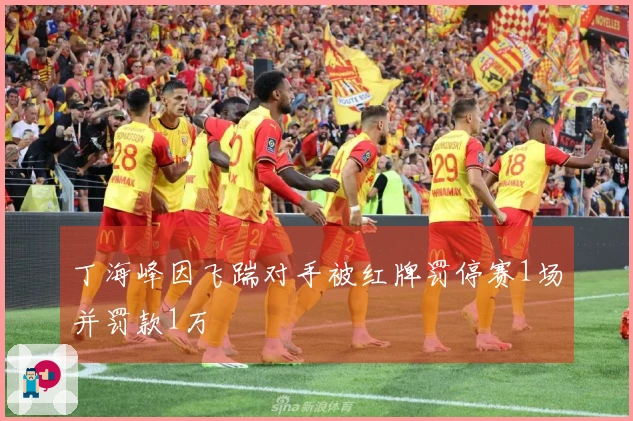 丁海峰因飞踹对手被红牌罚停赛1场并罚款1万
